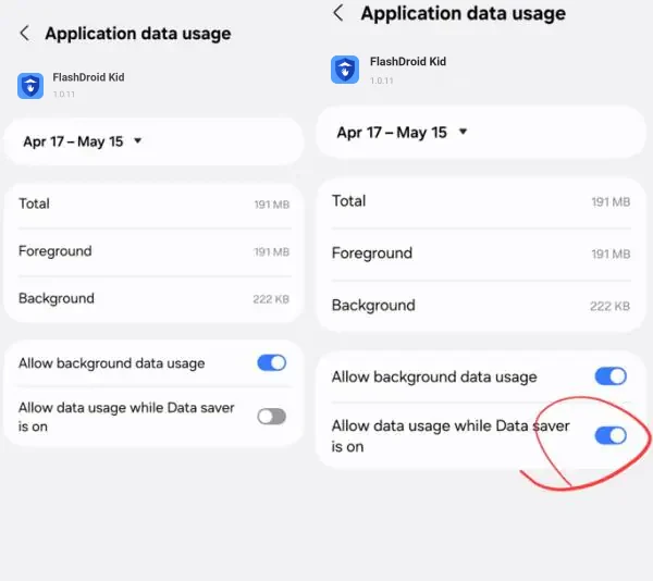 Application data usage screen with Allow background data usage and Allow data usage while Data saver is on both enabled